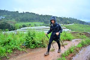 BIB: 
                            <button type="button" onclick="openModal(13378098)" class="btn btn-primary btn-sm float-right btn-popup" data-toggle="modal" data-target=".modal-high-quality">
                        <i class="fas fa-shopping-cart"></i> Add to Cart
                    </button>
                                            <button type="button" onclick="isThisMe(13378098, true)" class="btn btn-success btn-sm float-right btn-popup btn-isme hidden" data-toggle="tooltip" data-placement="bottom" title="นี่คือรูปของคุณใช่ไหม คลิกที่นี่เพื่อเอาเข้าอัลบั้ม">
                        <i class="fas fa-plus"></i> Add to album
                    </button>
                    <button type="button" onclick="isThisMe(13378098, false)" class="btn btn-warning btn-sm float-right btn-popup btn-isnotme hidden">
                        <i class="fas fa-ban"></i> Remove from album
                    </button>